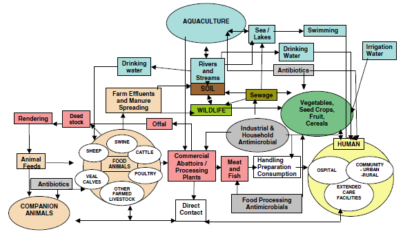 Antimikrobiell resistens - et «ONE HEALTH» problem KILDE: Antimicrobial Resistance: