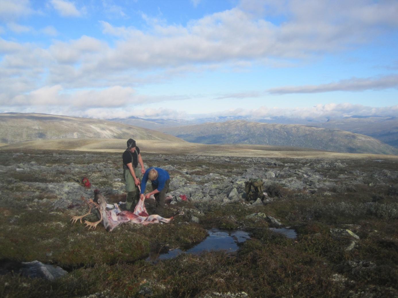 Bøverdalen, frå Netoseter mot Lomseggen Sognefjellet Samt de punkt som er nevnt for SF ovenfor. Brudd på viltlova Det vart anmeldt ett forhold om brudd på viltlova på Luster sida av Breheimen.