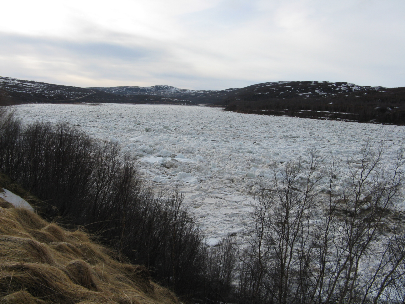 Isgangsdata fra Tanamunningen ved Langnes har man fra 19 av og ved Ohcejohka, Onnela-kulpen, fra 191 av (Figur 17).