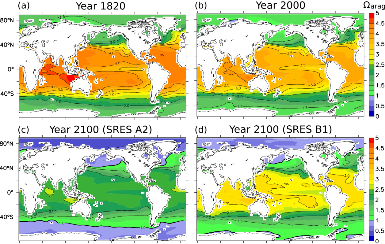 34 Figur 4.3 Metningsgrad for aragonitt i overflaten av havet. Øverst: Utvikling fra førindustriell tid til i dag. Nederst prognose for 2100 under to utslippscenarier. Fra Steinacher et al. (2009). 4.1 Barentshavet og Polhavet Kaldt sjøvann kan løse større mengder CO 2 og andre gasser enn varmt vann.