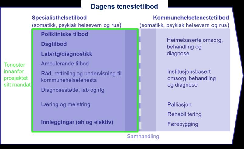 eller lungebetennelse. Dei har ofte behov for rehabilitering over mykje lengre tid enn unge pasientar med tilsvarande lidingar.