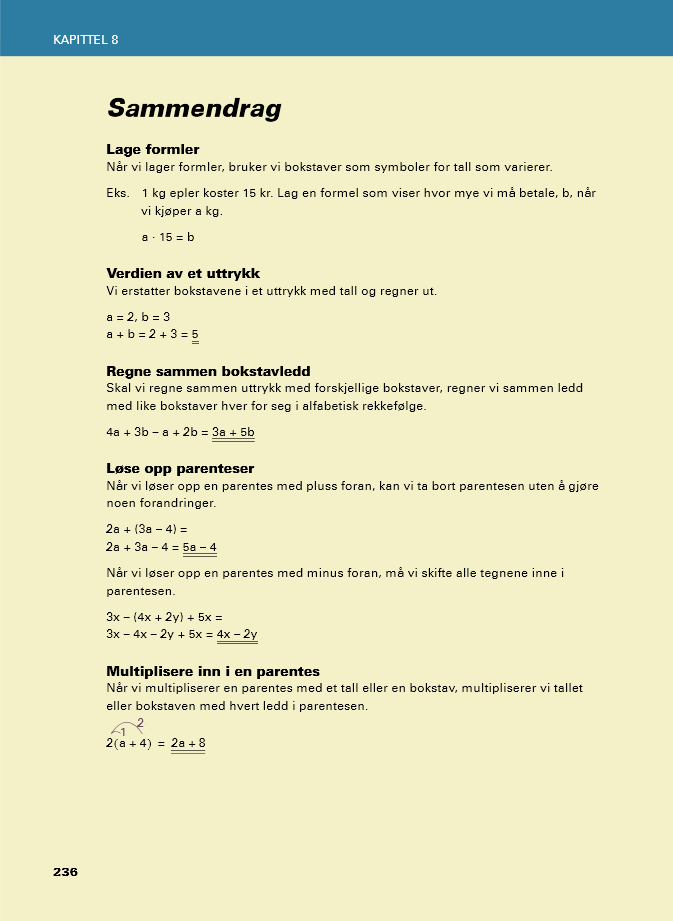 Man ser forsiden til algebrakapitlet og sammendraget til algebrakapitlet i figur 5. Figur 5: Hentet fra Grunntalls lærebok side 213 og 236.