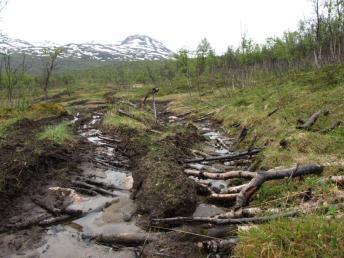 Det er ikke noe som tilsier at selve plassering av blå trasé langs Botnelva vil påvirke vassdraget slik at det får negative virkninger på vannkvalitet, fisk, evertebrater og akvatisk vegetasjon.