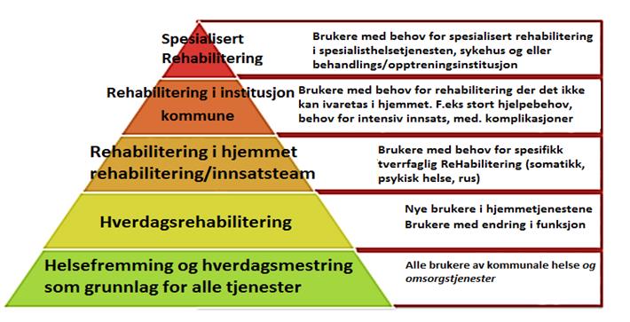 4.1.4 Habilitering og rehabilitering Selv om vi innretter tjenestene mot helsefremming og forebygging vil det selvsagt oppstå sykdom og skade.