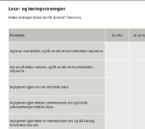 Kartlegge bruk av strategier Nina