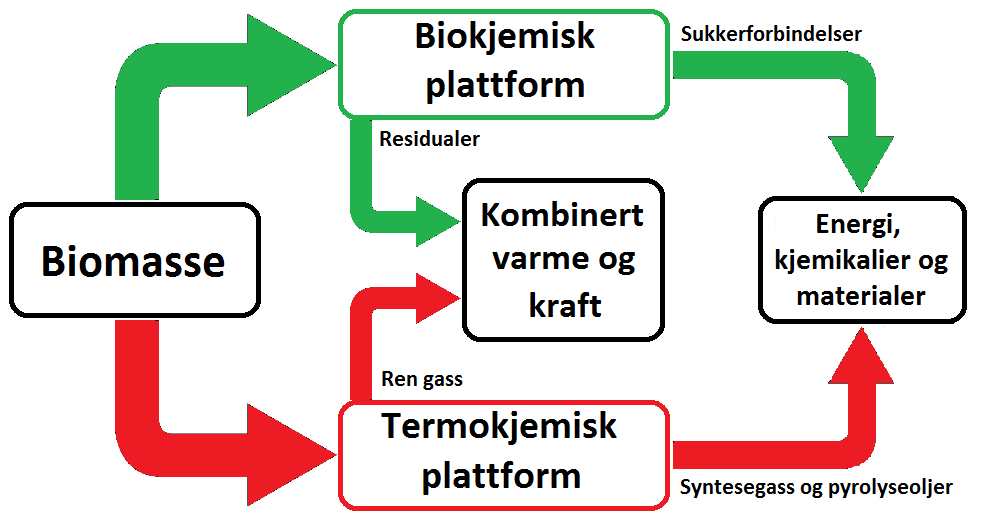 For å være i stand til å produsere et stort mangfold av produkter må bioraffineriet benytte flere ulike metoder og prosesser.