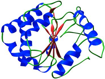 Fra enzymaktivitet til sykdom - Uracil-DNA glycosylase 1978 1989 1994 1995 1996 1997 1998 1999 2000 2002 2003 UNG akt i HeLa celler Kartlagt Ung genet på krom 12 UNG/U-DNA kompleks, flipping UNG2 er