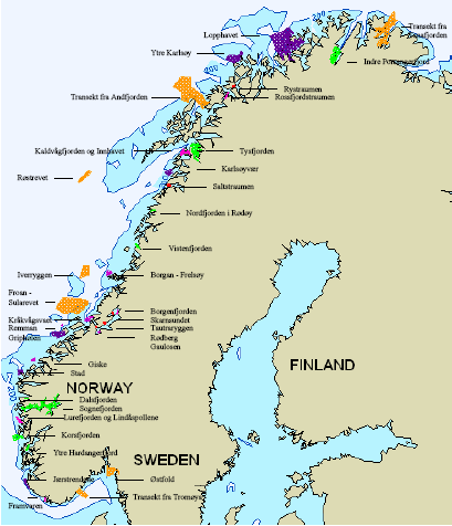 Bruk av informasjon fra MAREANO i forhold til MPAs Vanlige kriterier for utvelgelse av MPAs Representativitet - likhet Produktivitet - størrelse, fordeling på