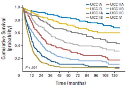 1.2 Overlevelse Overlevelse ved ventrikkelcancer har for hele pasientgruppen økt fra 12.5 % i perioden 1971-75 til 23.9 i perioden 2006-10.