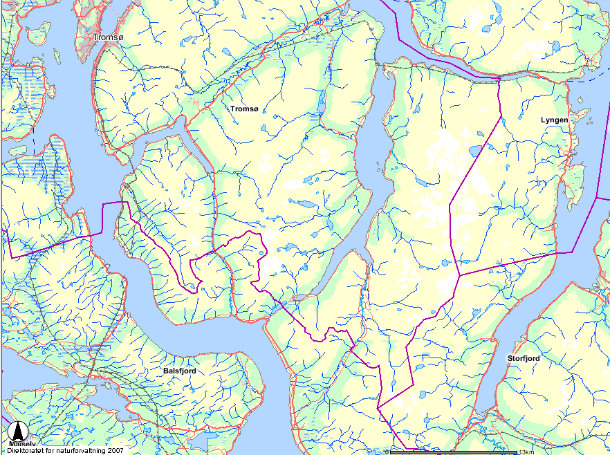 1 Innledning Denne utredningen skal gi offentlige myndigheter mulighet til å vurdere effektene og konsekvensene den planlagte kraftutbyggingen av Skogneselva, Stordalselva, Ritaelva og Turrelva i