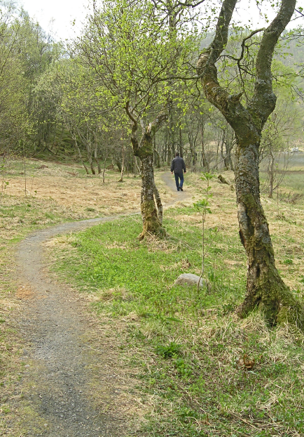 Meløy kommuneplan Årsregnskap,