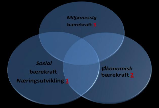 Strategiske og overordnede fokusområder: Å utvikle en bærekraftig kornproduksjon til mat og fôr. Å utnytte regionens markedsnærhet og særpreg for både tradisjonelle produksjoner og bygdenæringer.