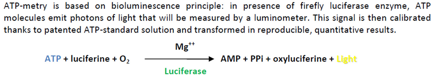 Adenosin trifosfat (ATP) Total