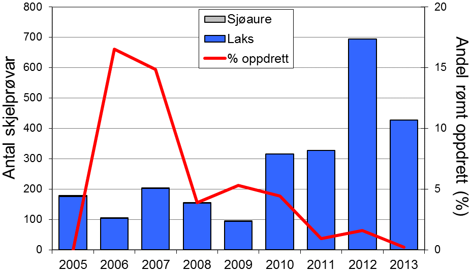 Fangststatistikk FANGST OG SKJELPRØVAR I VORMA Gjennomsnittleg årsfangst i perioden 1977-2013 var 255 laks (snittvekt 3,2 kg) og 49 sjøaurar (snittvekt 0,8 kg).