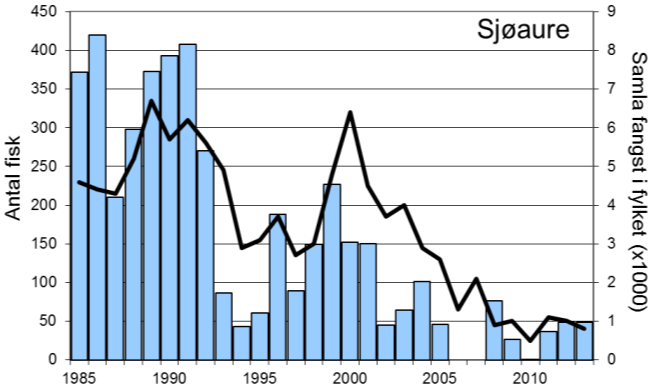 Fangststatistikk FANGST OG SKJELPRØVAR I HÅELVA Gjennomsnittleg årsfangst i perioden 1985-2013 var 2318 laks (snittvekt 2,3 kg) og 151 sjøaurar (snittvekt 0,8 kg).