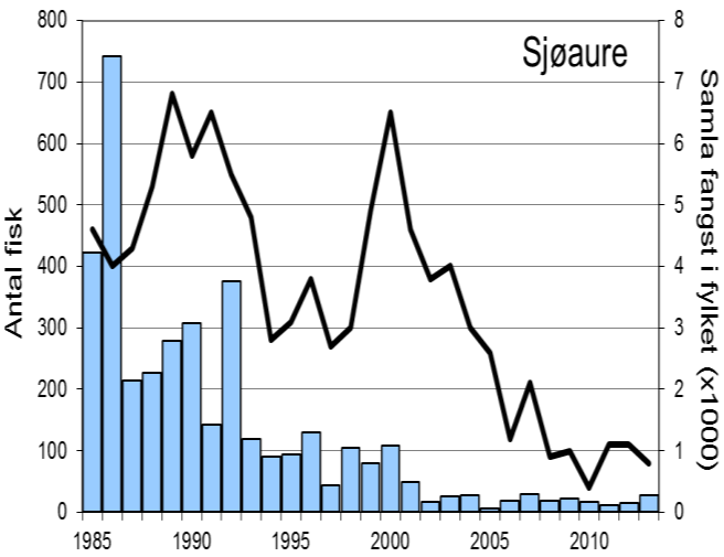 Fangststatistikk FANGST OG SKJELPRØVAR I OGNA Gjennomsnittleg årsfangst i perioden 1985-2013 var 1919 laks (snittvekt 2,2 kg) og 130 sjøaurar (snittvekt 0,9 kg).