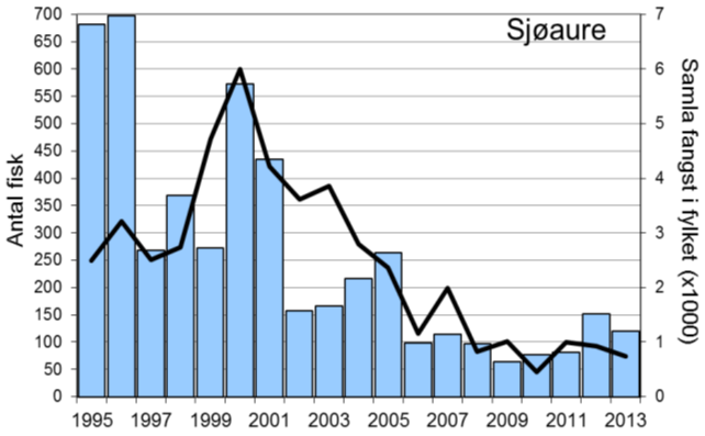 Fangststatistikk FANGST OG SKJELPRØVAR I SOKNA Gjennomsnittleg årsfangst i perioden 1995-2013 var 767 laks (snittvekt 2,4 kg) og 258 sjøaurar (snittvekt 0,9 kg).