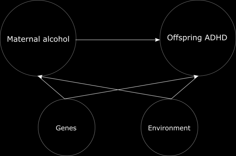 Maternal alcohol use during pregnancy and offspring ADHD Espen Moen Eilertsen Tidligere studier har vist en positiv sammenheng mellom mødres alkoholbruk under