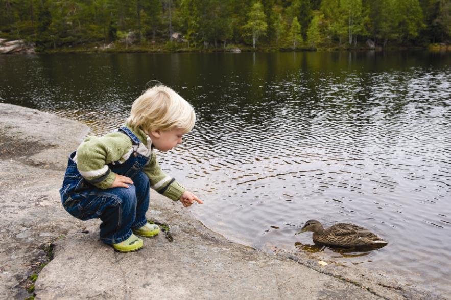 P02 Oppvekst flere barn får hjelp Antall meldinger i barnevernet økte med 9 prosent Ingen reelle fristoverskridelser i