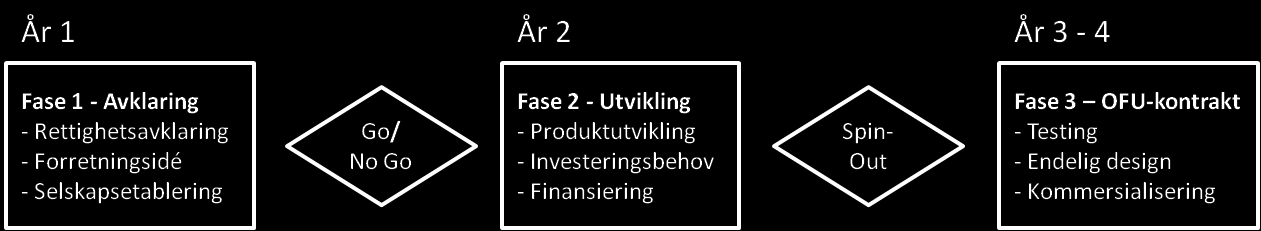 Idéen: Tildeling på bakgrunn av utlysning og konkurranse 1,0 MNOK pr. år for de to første år.