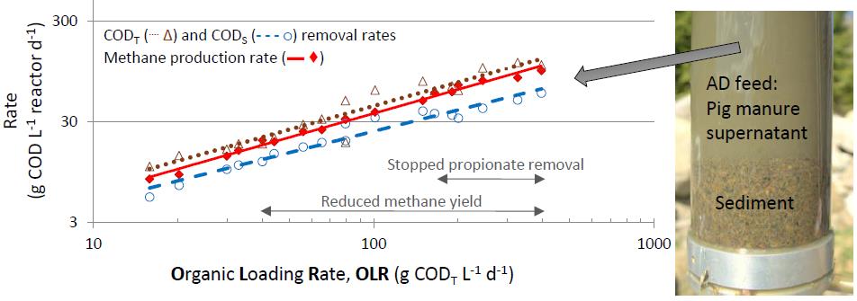 Super high rate slurry AD (Bergland et al. 2015) Bergland, W.H., Dinamarca, C., Toradzadegan, M.