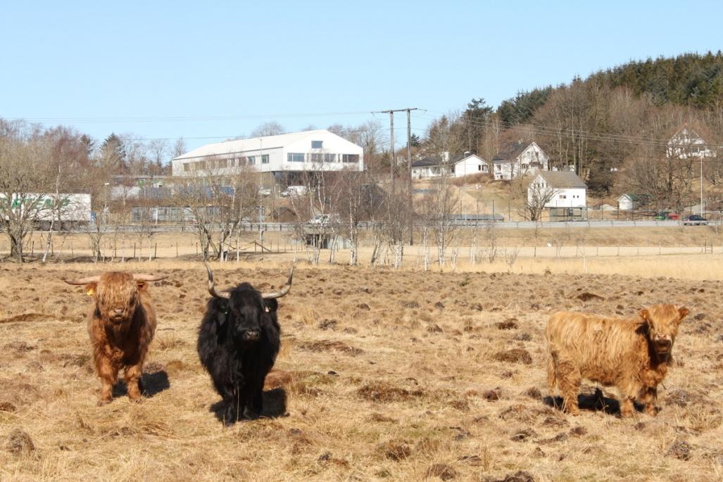 Øksnevad vgs Øksnevad vgs ligg på Øksnevad i Klepp kommune i Rogaland. Skulen vart etablert i 1940. Klimaet er vått og fuktig, med middel årsnedbør 1280 mm og middel årstemperatur 7,1 0 C.