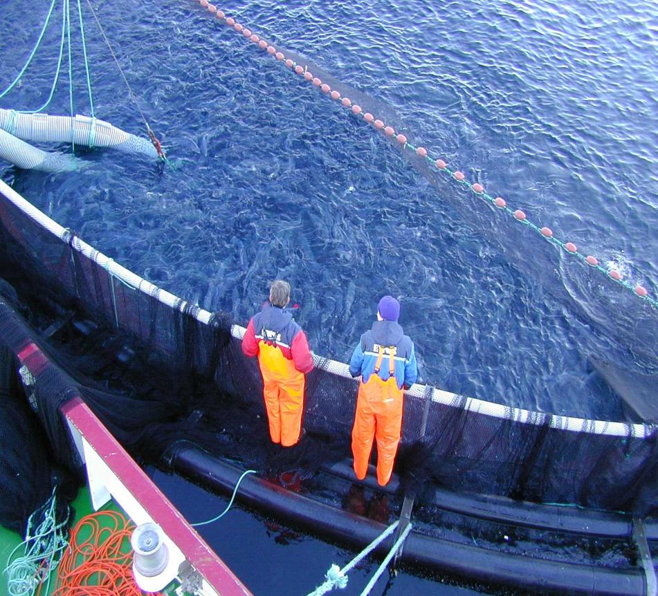 NØKKELINFORMASJON FIRDA SEAFOOD SELSKAP ETABLERT 1986 av Ola Braanaas IDAG Smolt 1986 Laks 1994 Ørret1997