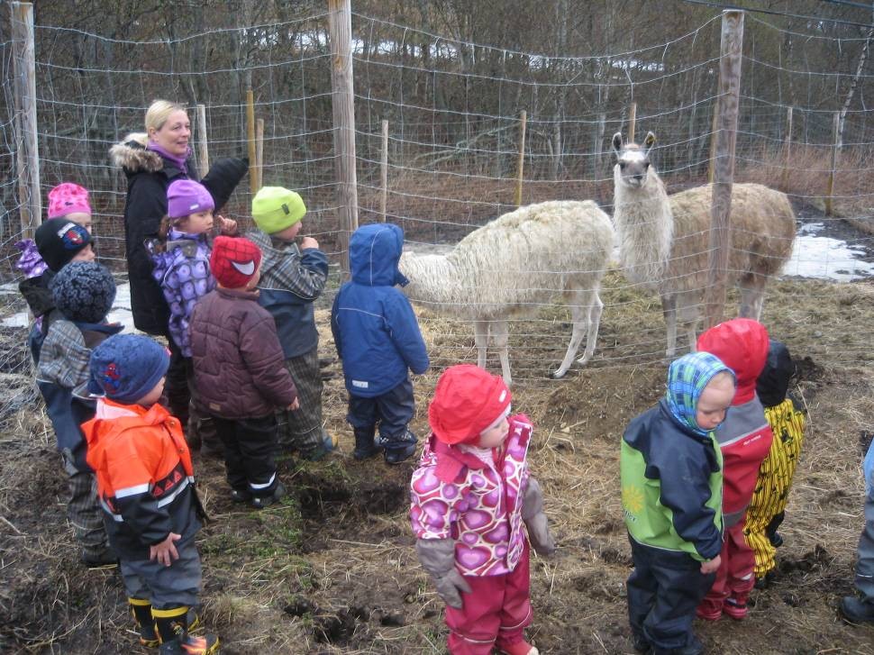 I mai drar vi også på besøk til bondegård og vil derfor ha tema om bondegård og bondegårdsdyr.