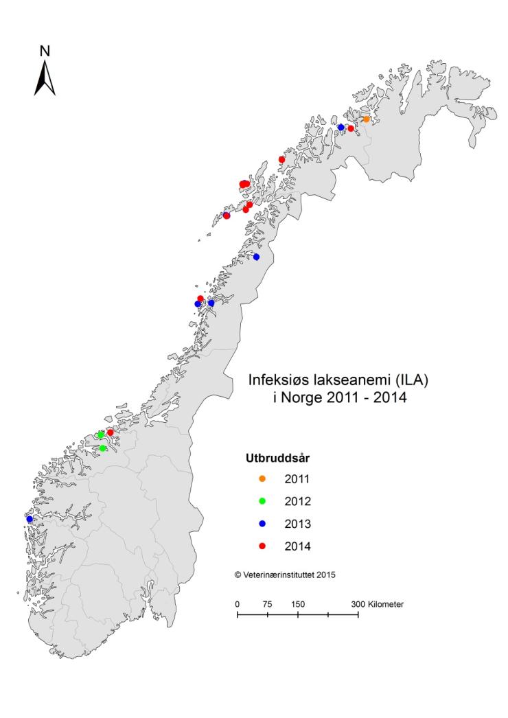 Infeksiøs lakseanemi (ILA) 2015