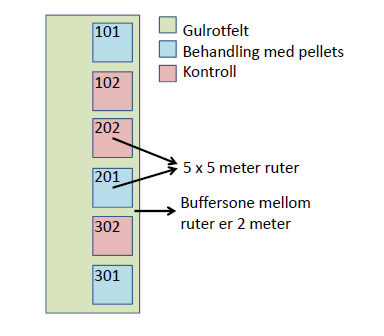 (1 replikat). Det ble lagt opp til en kontrollrute for hver behandlingsrute. Oppstart ble planlagt til 25.