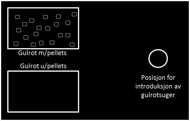 Oppsett av labforsøket. Resultat Det ble ikke registrert egglegging av gulrotsuger i forsøk med oppstart 28. mai. Det ble kun registrert krusing på brett med pellets (3,7 %). Dato start 28.05.