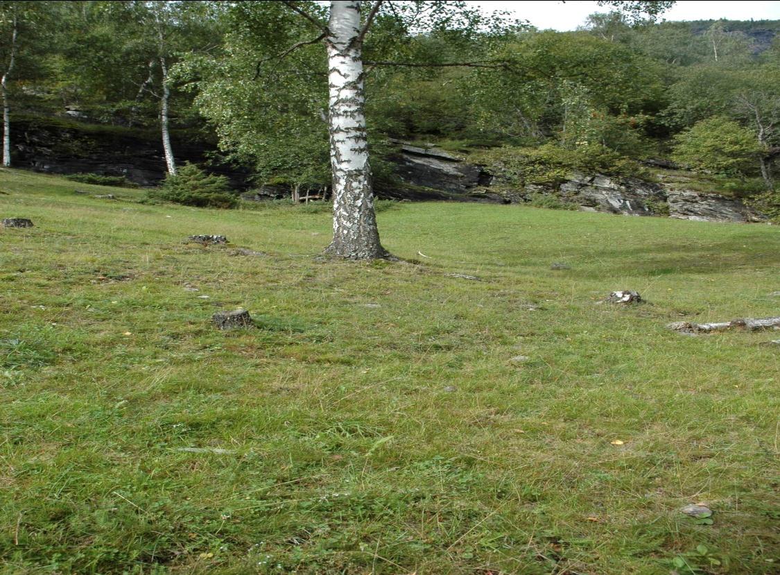 Spesiell metode, Gulltjønn 5.