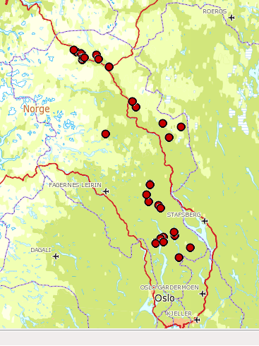 Figur 3: Observasjoner (ant/dokumenterte) av ulv 2012. Det er en økning i antall observasjoner i forhold til tidligere. Det ble påvist store skader av ulv i Lesja i 2012.