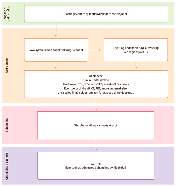 Flytskjema 2 Inngang til pakkeforløp for skjoldbruskkjertelkreft 2.1 Risikogrupper Det finnes ingen spesifikke risikogrupper for skjoldbruskkjertelkreft.