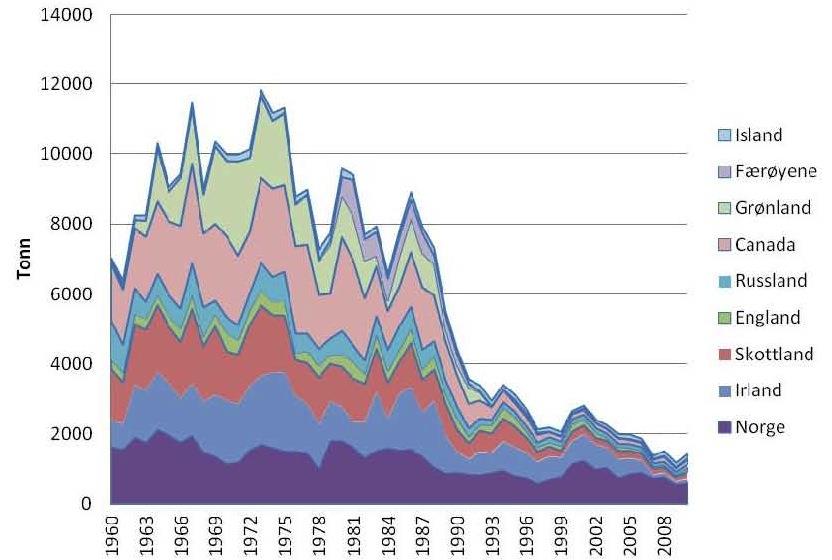 Inkluderes alle påvirkningsfaktorene i vurderingene? Nominal catches of salmon in the North Atlantic Kilde: ICES. 2011.