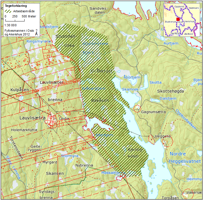 Kjerringkollen - Nibbitjern Ringerike kommune 3896 dekar kartlagt Lokaliteten ligger vest og nordvest for Heggelivatna i Ringerike kommune, sør for vannene Damtjern og Storflåtan og 1 km øst for