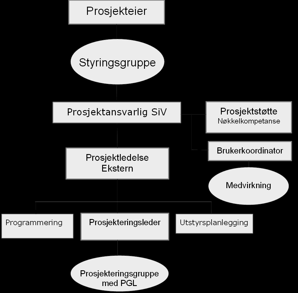 7. Organisering Forprosjektarbeidet organiseres som eget prosjekt. Prosjekteier er administrerende direktør. Det etableres styringsgruppe og prosjektansvarlig for prosjektet.