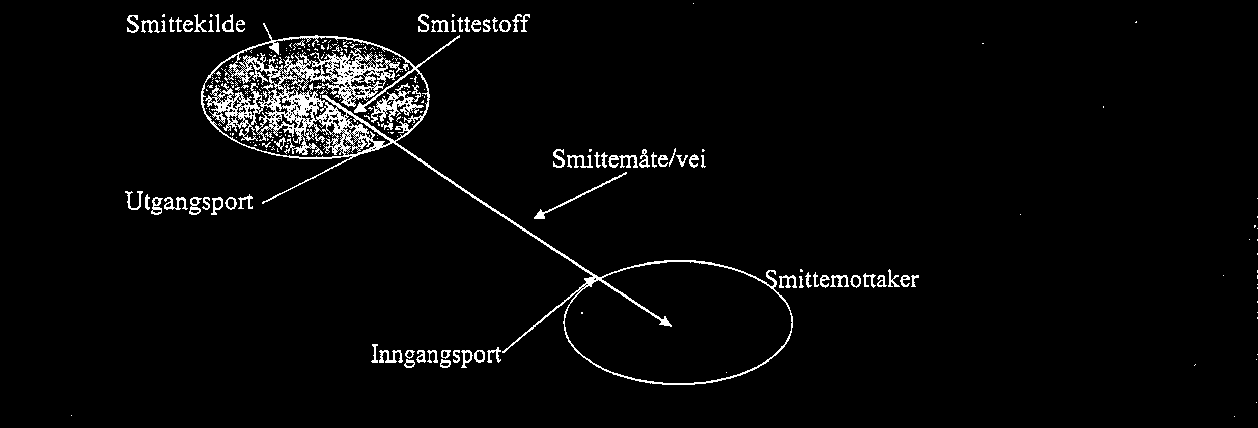 Hovedprinsippet ved smittevernarbeidet er å bryte smittekjeden : Aktuelle tiltak kan være informasjon, forebygging, antibiotikabehandling, sanering og isolering og kan etter behov settes inn mot *