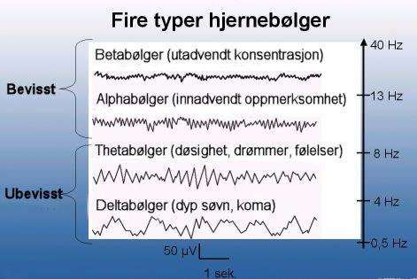 For å kompensere for dette begynner hjernen din å produsere nye nervebaner med den følge at hjernen din begynner å produsere mer av de gode hjernekjemikaliene.