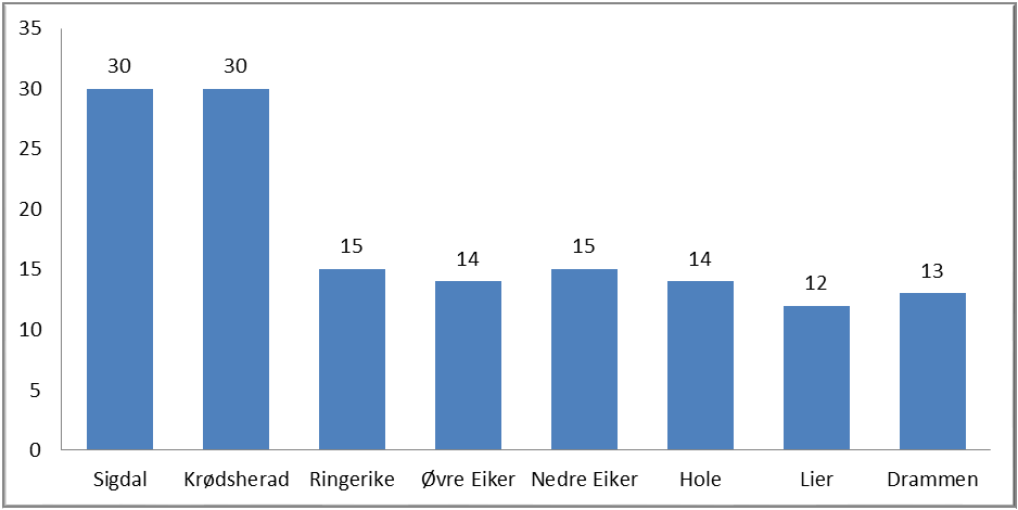 Sigdal Krødsherad Ringerike Øvre Eiker Nedre Eiker Hole Lier Drammen I tillegg er det samarbeid på tvers av kommunegrenser i ulike prosjekter og nettverk. 3.