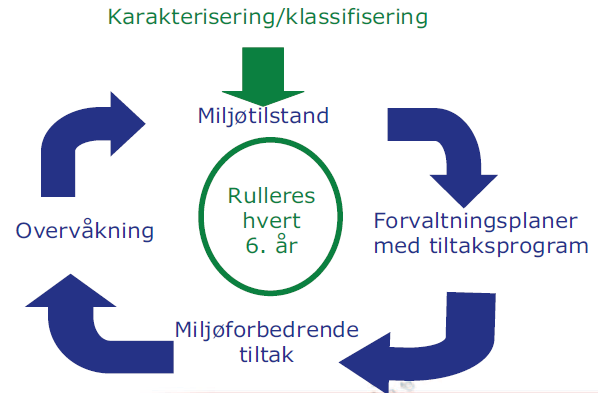 Figur 2. Planhjulet for gjennomføring etter vannforskriften. 3. Organisering av arbeidet etter vannforskriften Alt arbeid med oppfølging av vannforskriften i Norge er delt inn i vannregioner.