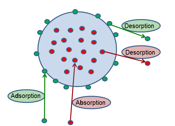 Plasticizer leaching & gift adsorpsjon Adsorpsjon vs Absorpsjon