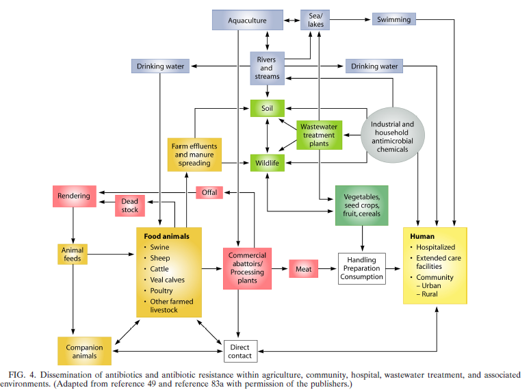 «Alt» henger sammen Animals Human Meat/stock/processing Water Soil/Wastewater Vegetables, cereals Chemicals