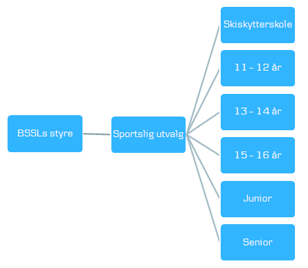 4. Organisasjon og aktiviteter 4.1. Organisasjon BSSL s sportslige organisering er som illustrert under, og klubbens øverste organ er årsmøtet.