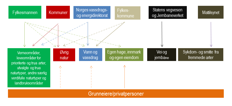 18 Figuren viser hovedaktører i arbeidet med å redusere problemet med fremmede arter i fylket og i hvilke naturområder de har hovedansvar (hele linjer) og delansvar (stipla linjer).