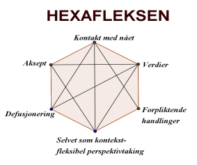 Eksempler hvor brukere og familier sier de faller til ro nå når de vet at tilstanden har et navn.