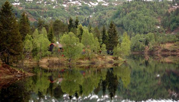 Også bunndyrfauna i de to ikke kalkede vassdragene Gaular og Nausta fra Sogn og Fjordane viser nokså omfattende responser på bedret vannkvalitet.