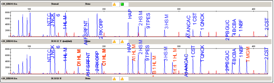 Figur 9. Resultat av fragmentanalyse i programmet Genemapper. Fragment med blå skrift representerer kontrollgener. De med rød skrift er genfragmenter som viser metylering. Fra tumorprøven H03.