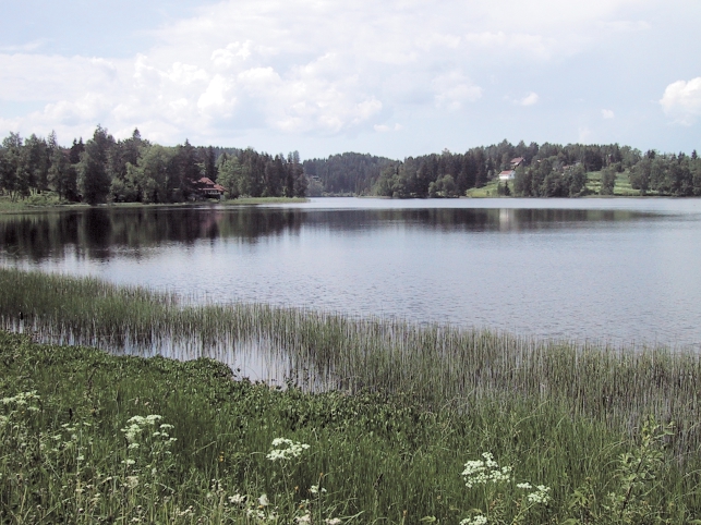 5.12 Kalvsjøtjernet (Lunner) UTM: NM 866 847 Hoh: 358 m Areal: 0,236 km 2 Fiskearter: ørret, røye, sik, abbor og karuss ph: 7,9-8,7 Kalvsjøtjernet (figur 32) ligger mellom gamle og nye riksvei 35 på