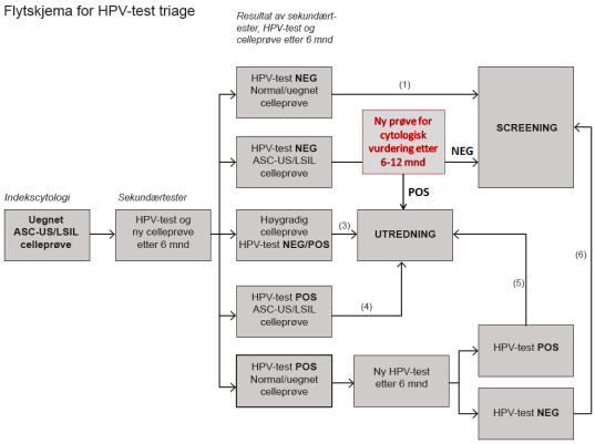 samtidig cytologi manglet eller HPV testen var uegnet.